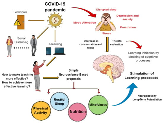 Brain Sciences | Free Full-Text | Mindfulness Other Simple Neuroscience-Based Proposals to Promote the Learning Performance and Mental Health Students during the COVID-19 Pandemic