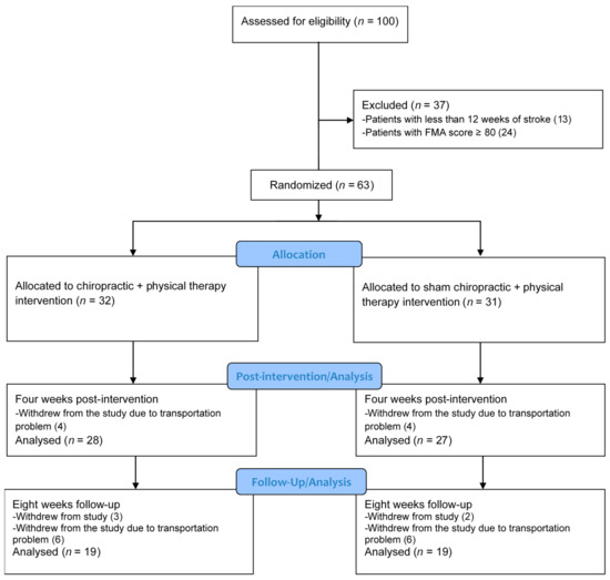 Brain Sciences | Free Full-Text | The Effects of 4 Weeks of Chiropractic  Spinal Adjustments on Motor Function in People with Stroke: A Randomized  Controlled Trial