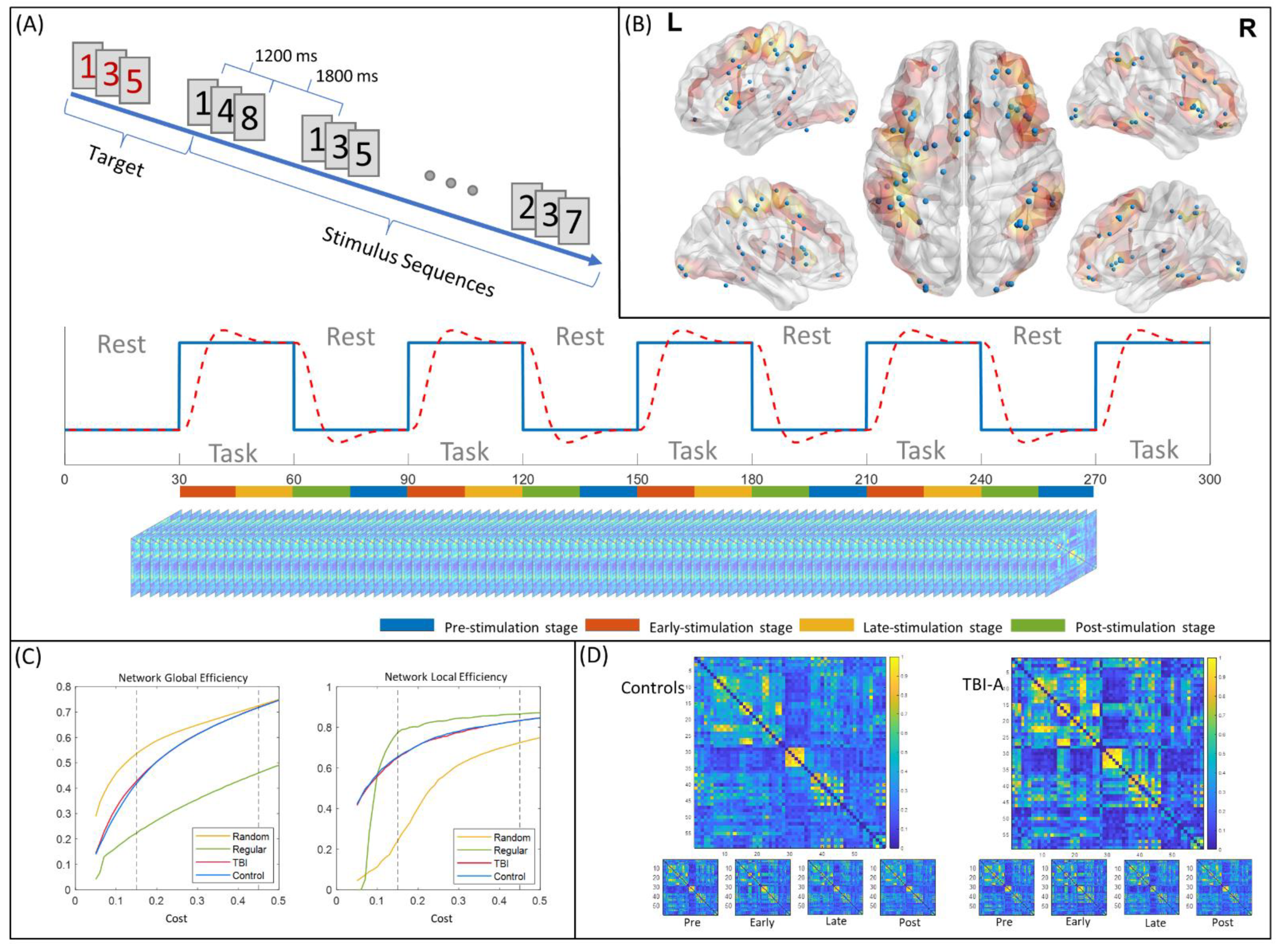 Brain Sciences | Free Full-Text | Abnormal Functional Network 