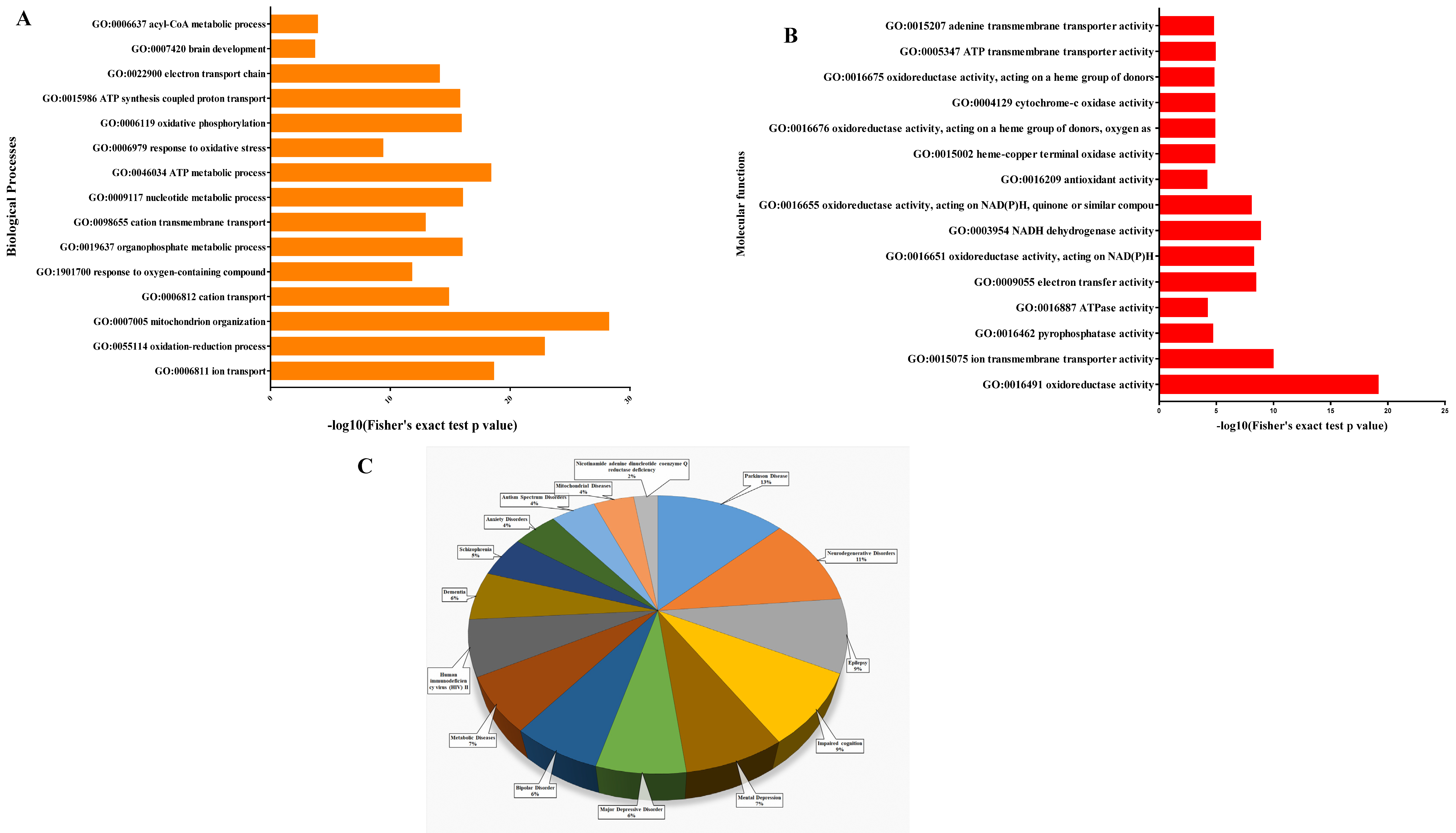 pronóstico látigo disparar Brain Sciences | Free Full-Text | Proteomics Profiling with SWATH-MS  Quantitative Analysis of Changes in the Human Brain with HIV Infection  Reveals a Differential Impact on the Frontal and Temporal Lobes