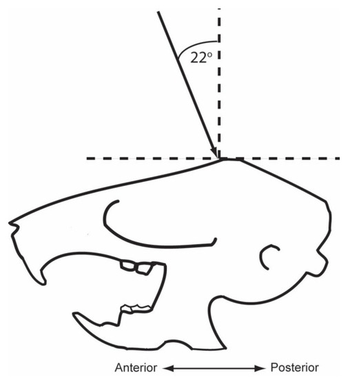 Brain Sciences | Free Full-Text | Differential Effects of Lateral and  Medial Entorhinal Cortex Lesions on Trace, Delay and Contextual Fear  Memories