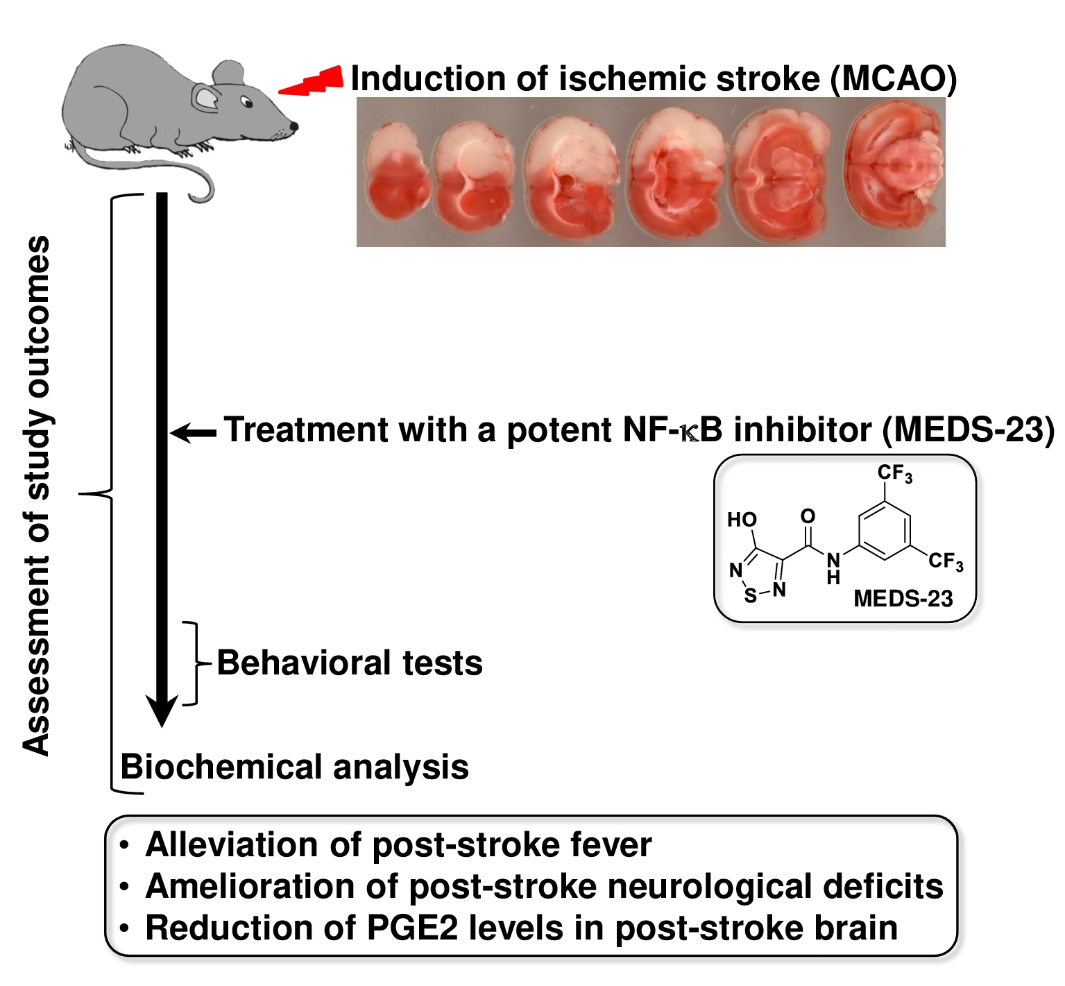 Lithium and Stroke Recovery: A Systematic Review and Meta-Analysis of  Stroke Models in Rodents and Human Data
