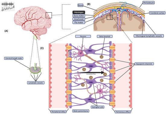 Brain Sciences | Free Full-Text | Effects of Sound Interventions on the ...