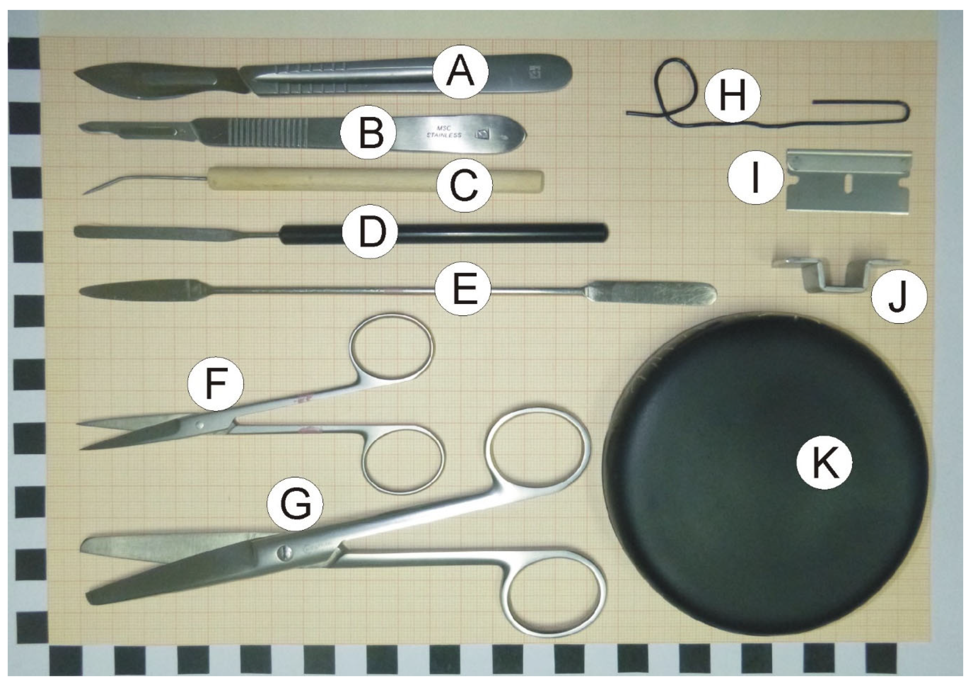 6 Scalpel - General Dissection 