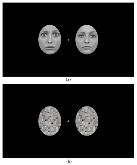 The Effects of Spatial Attention Focus and Visual Awareness on the ...