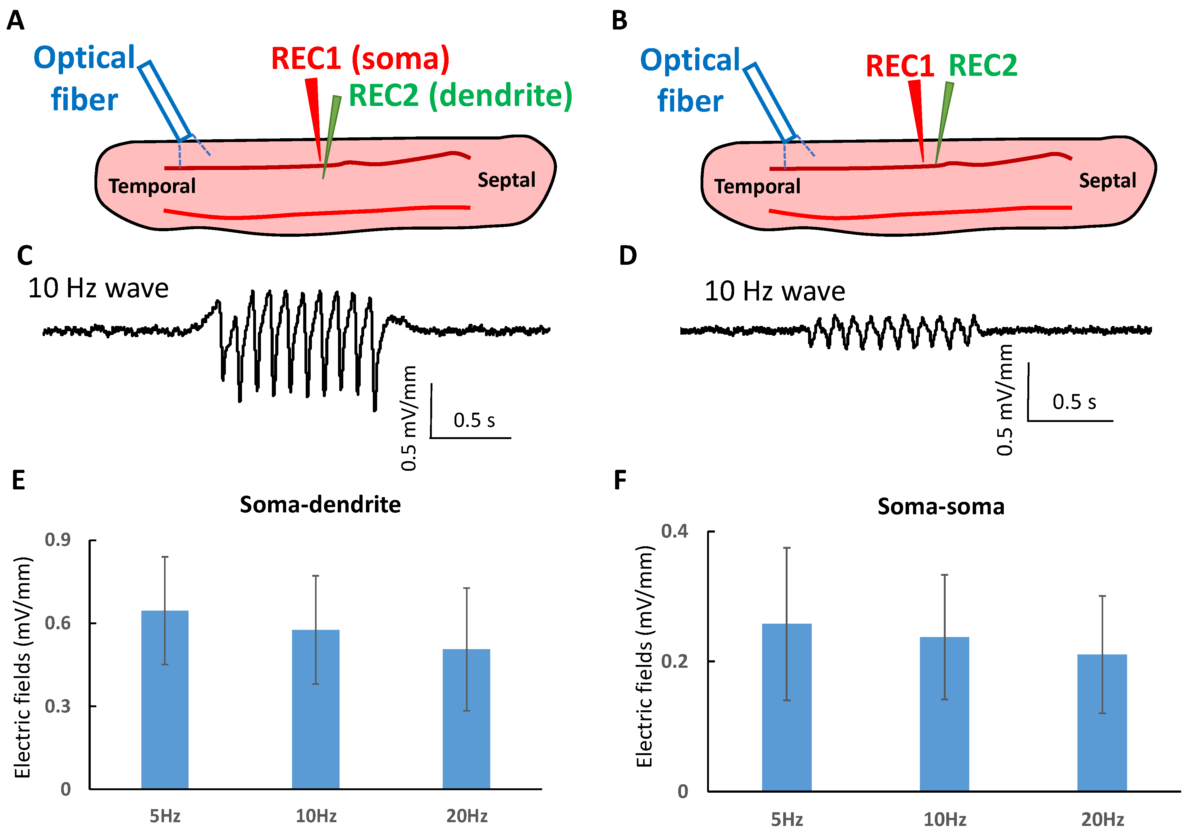 https://pub.mdpi-res.com/brainsci/brainsci-13-00074/article_deploy/html/images/brainsci-13-00074-g004.png?1672386394