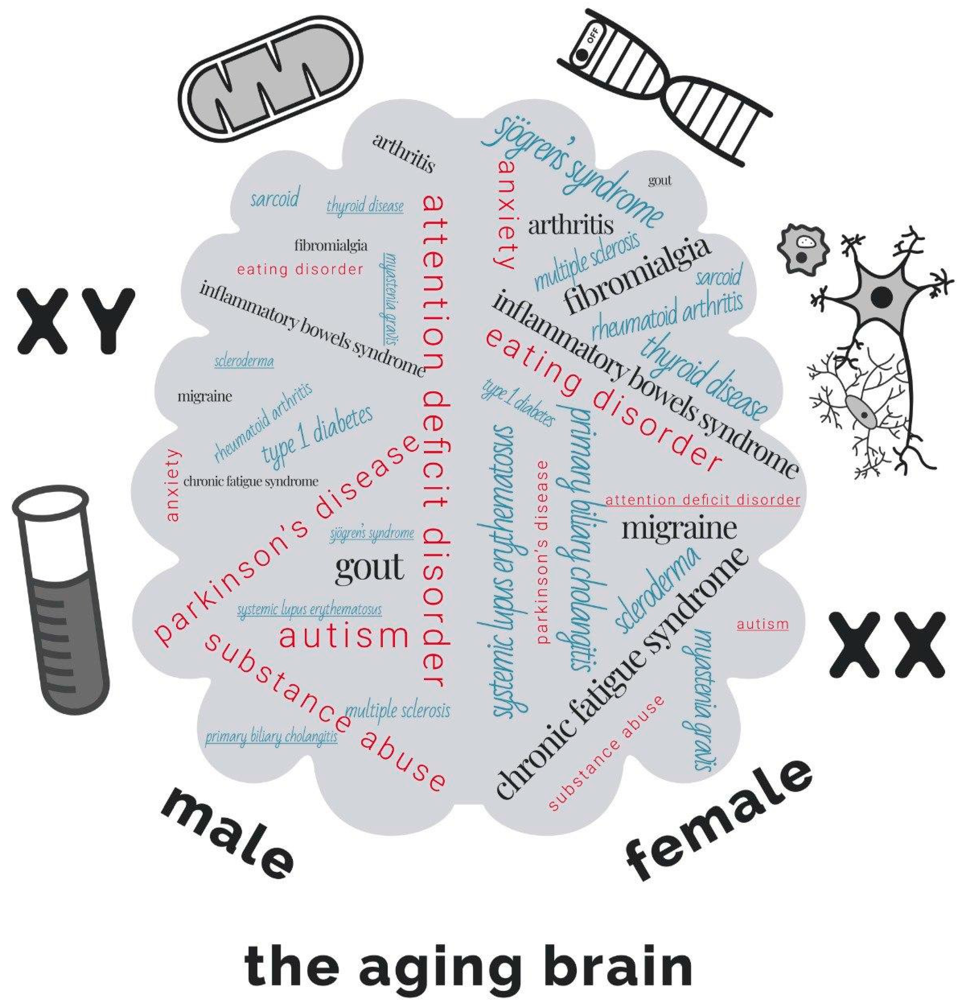 3164px x 3306px - Brain Sciences | Free Full-Text | Genetic and Epigenetic Sexual Dimorphism  of Brain Cells during Aging