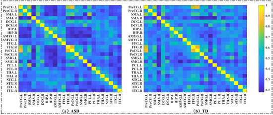 Social Brain Network of Children with Autism Spectrum Disorder ...