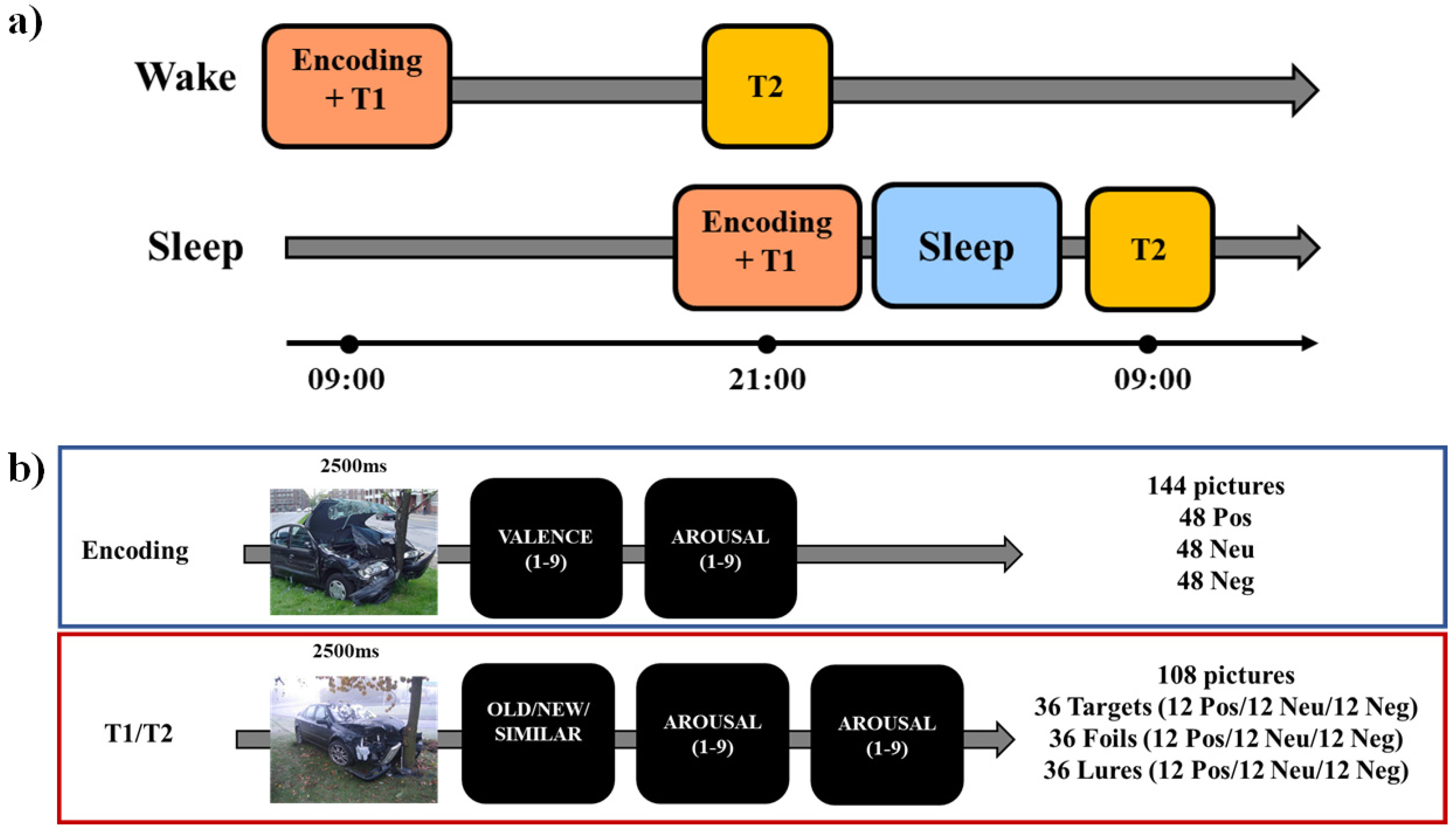 Brain Sciences, Free Full-Text