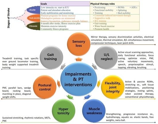 Explore Five Types of Polishers: A Comprehensive Overview