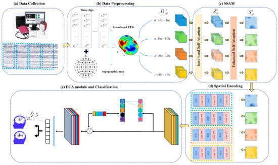 Brain Sciences | An Open Access Journal from MDPI