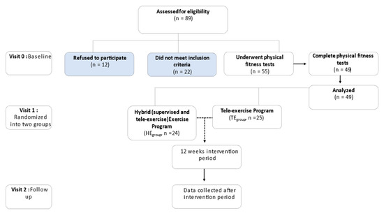 The Impact of Different Exercise Modes in Fitness and Cognitive ...