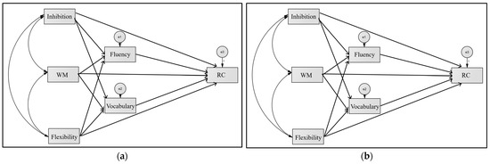 Relations Between Executive Functions and Reading
