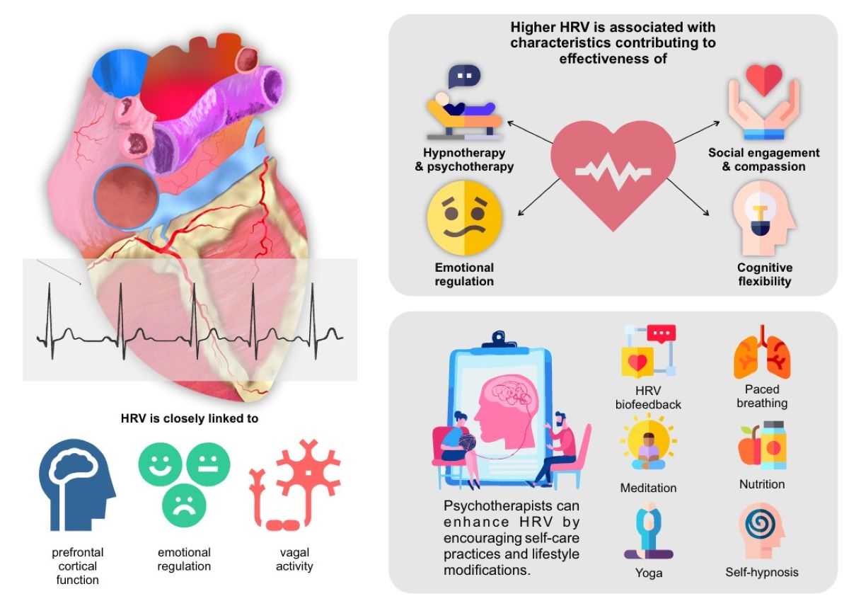 The Relevance of Heart Rate Variability for Hypnotherapy and Psychotherapy