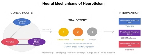 Neurotic Loop Neural Mechanisms of Neuroticism: Large-Scale Brain Networks ...