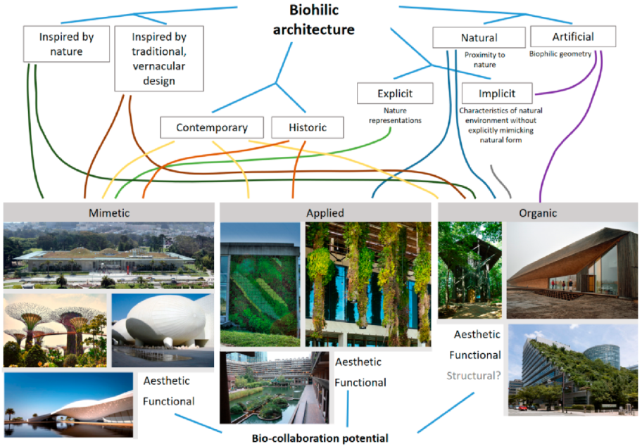 Buildings Free Full Text Classification Of Biophilic Buildings As