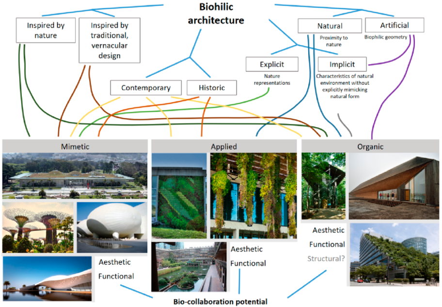 biophilic architecture thesis pdf