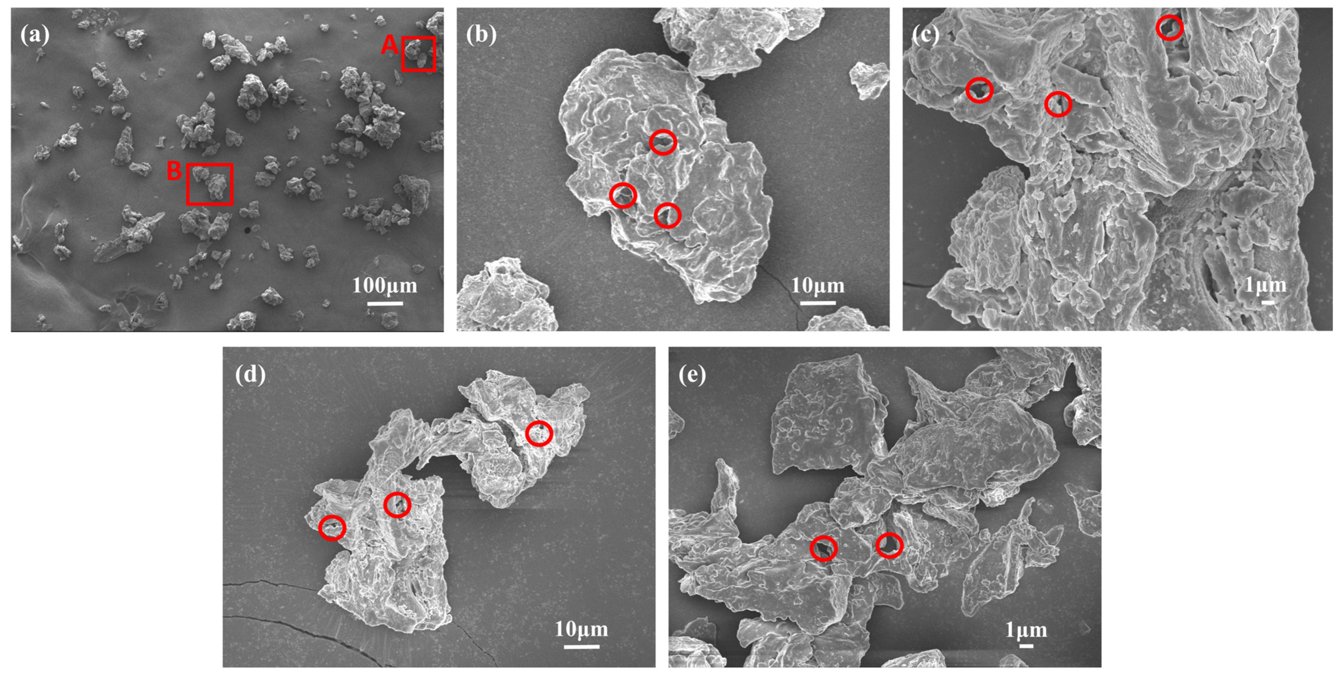 Regenerative And Innovative Utilization Of Coffee Residue And Waste 