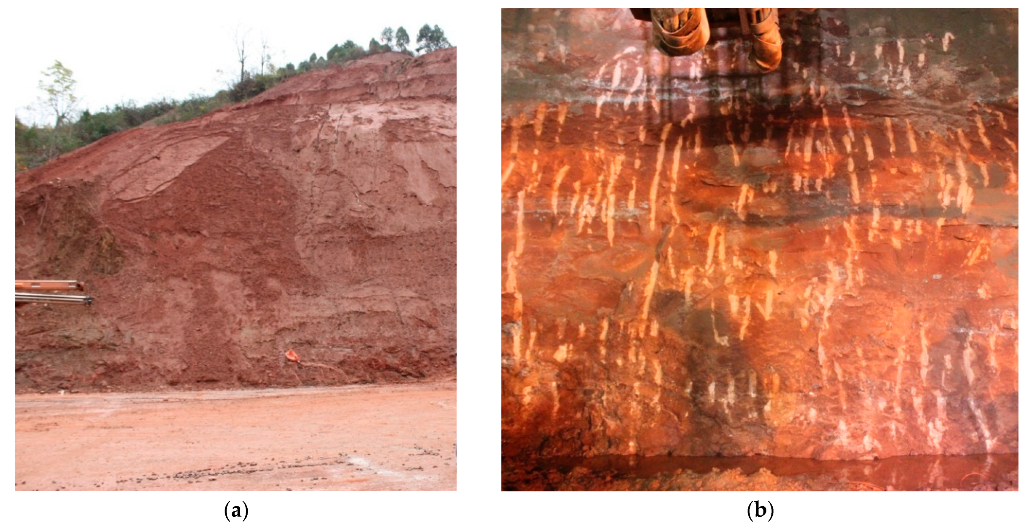 2024年のクリスマスの特別な衣装 Deformation and Characteristics Mechanisms Red Neogene of 語学・辞書・学習参考書