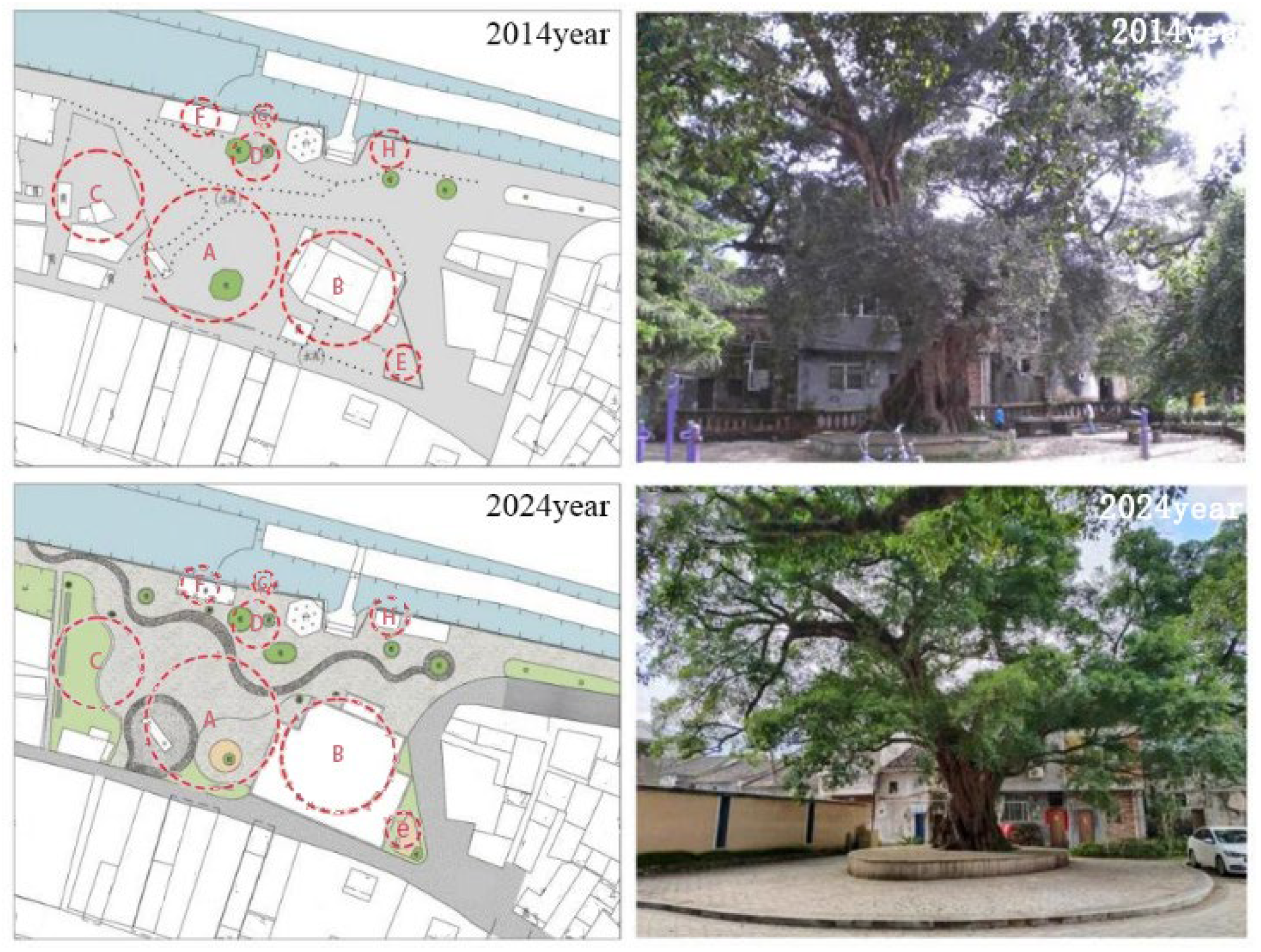 Evolution Characteristics and Development Mechanism of Rural Settlement ...
