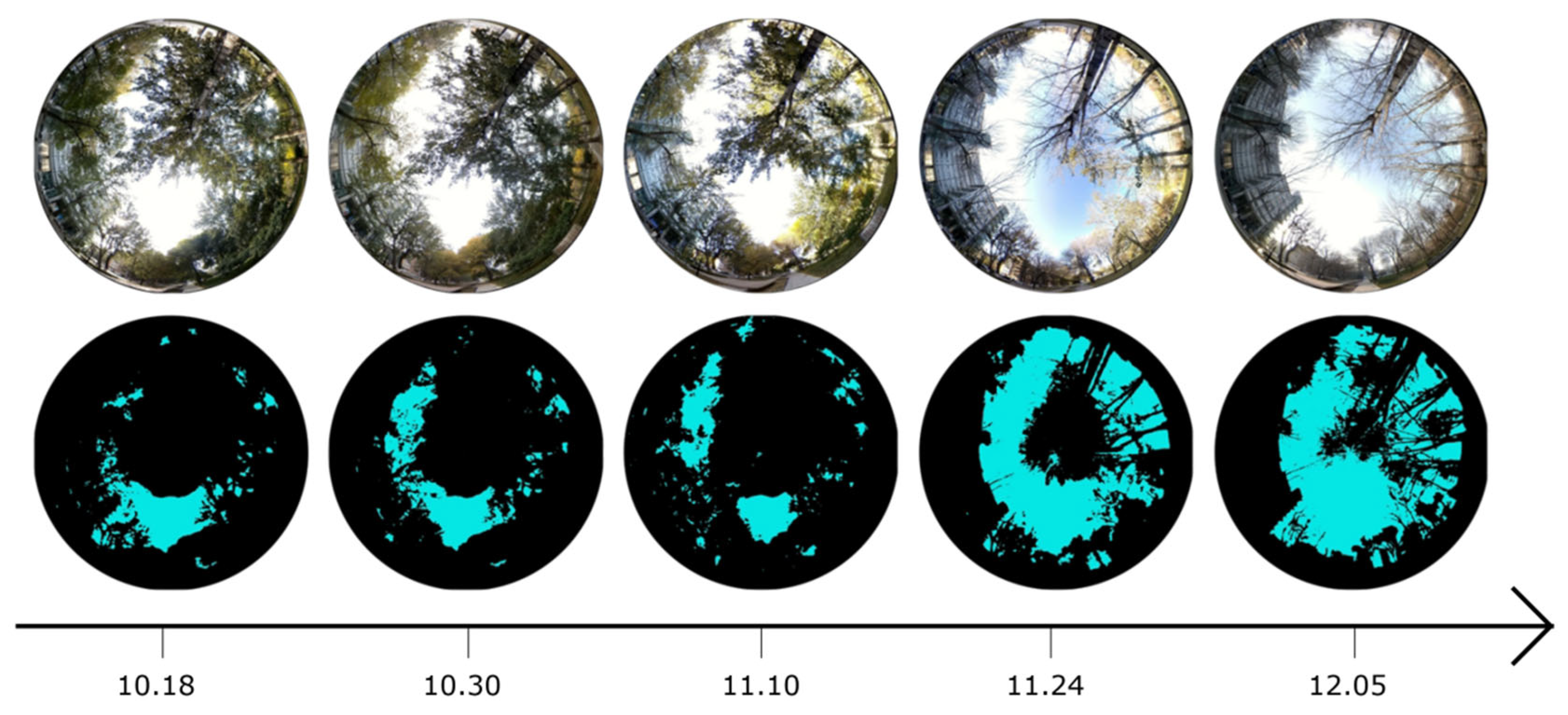 Influence of Vegetation Phenology on Urban Microclimate and Thermal ...