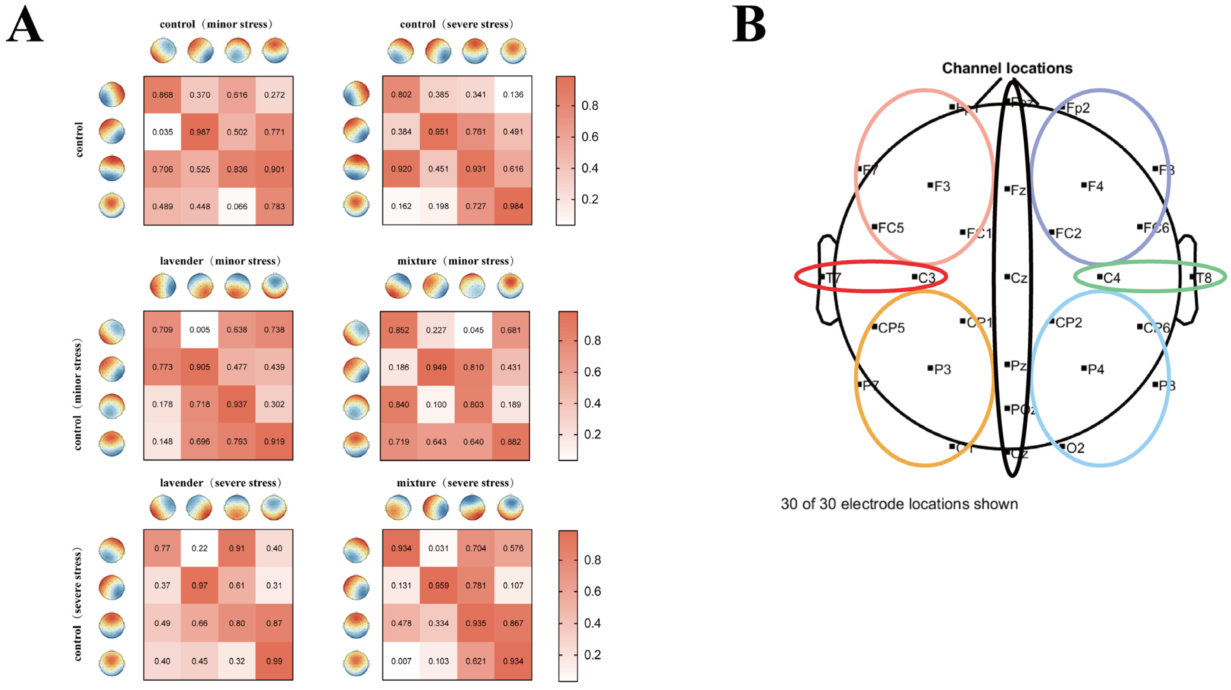 Aroma Olfactory Intervention: Enhancing Stress Recovery via Brain ...