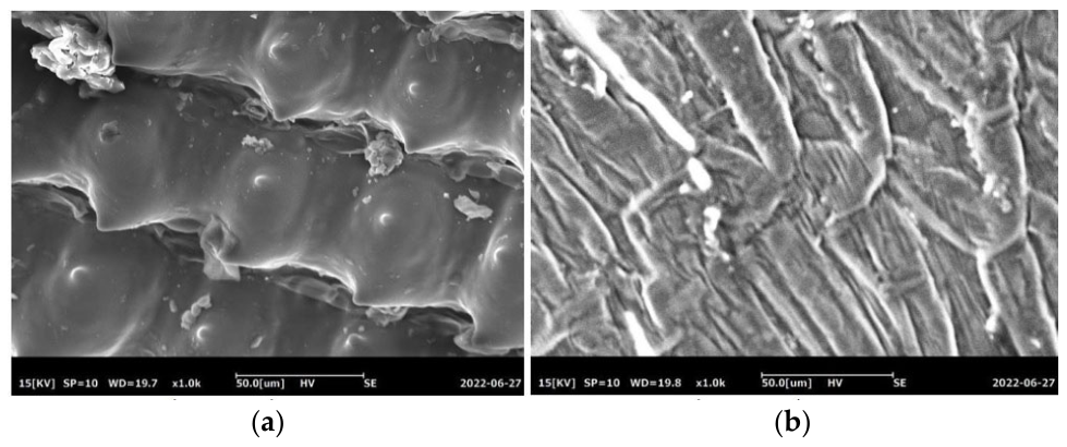 Mechanical and Durability Properties of Extrudable Cob Mixes with ...