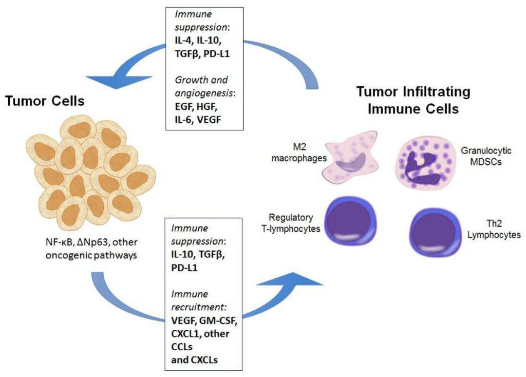 Tumor y cancer diferencias