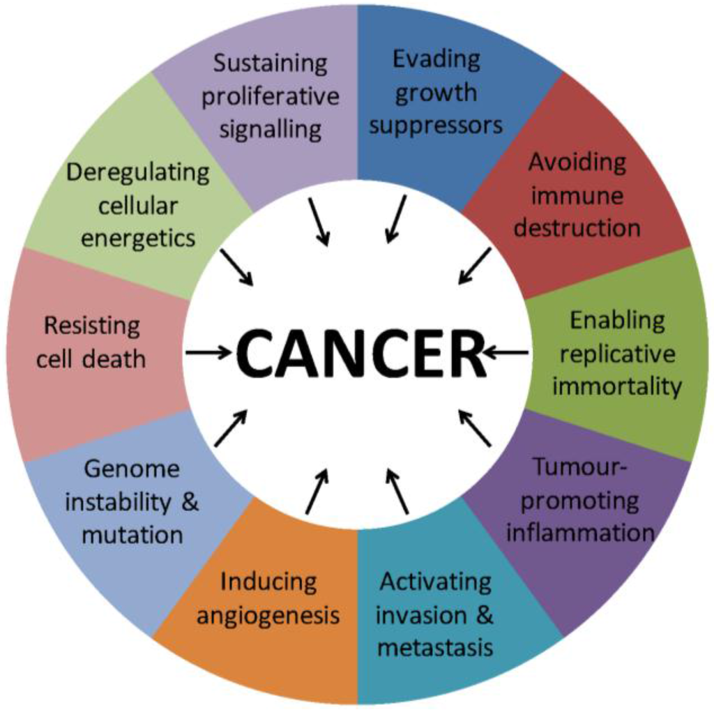 Cancers, Free Full-Text