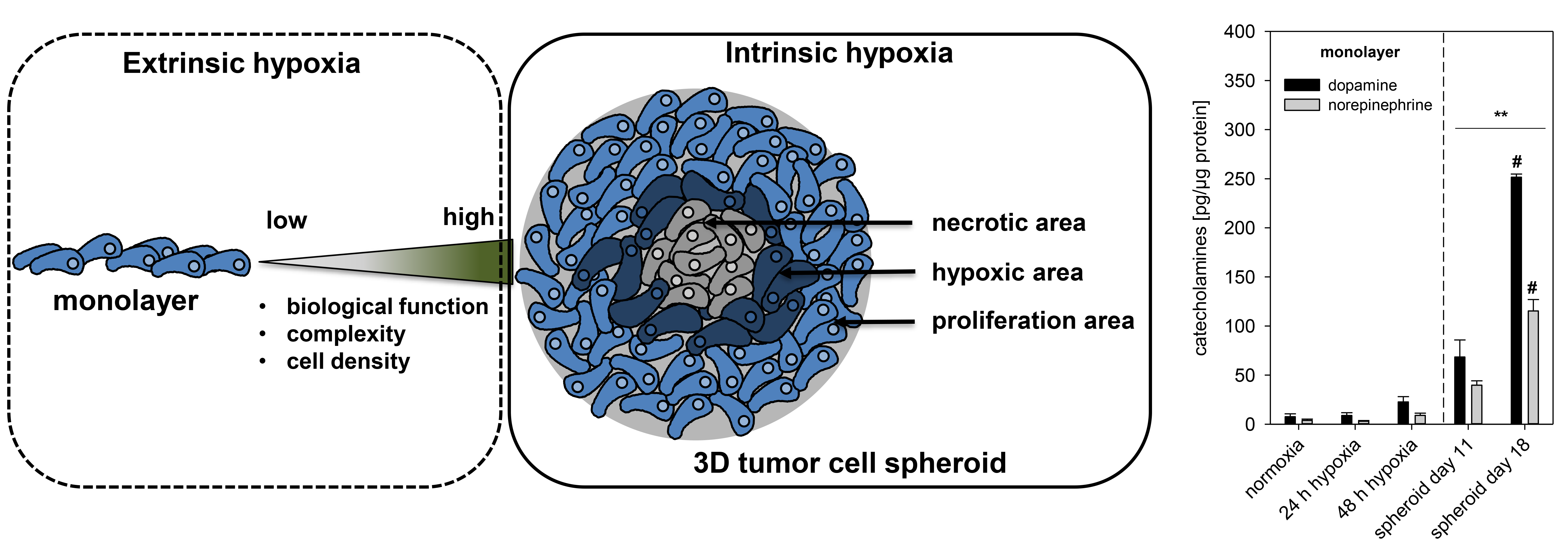 PDF) Hypoxia / Pseudohypoxia-mediated Activation of HIF1A in Cancer