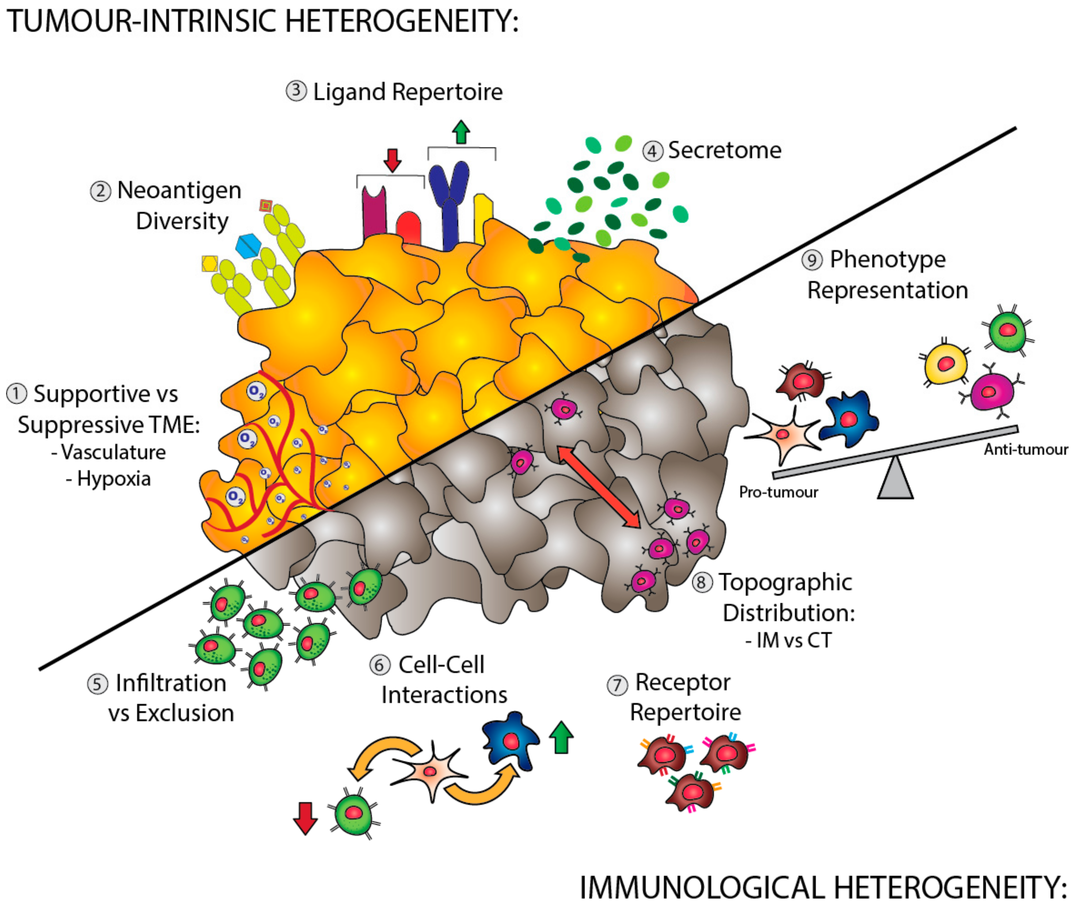 PDF) Heterogeneity of dose distribution in normal tissues in case