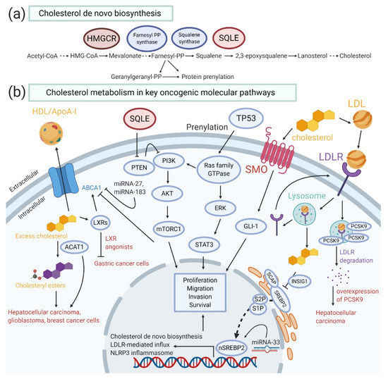 The Pivotal Role of the Dysregulation of Cholesterol Homeostasis in ...
