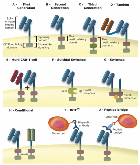 Overhauling CAR T Cells to Improve Efficacy, Safety and Cost