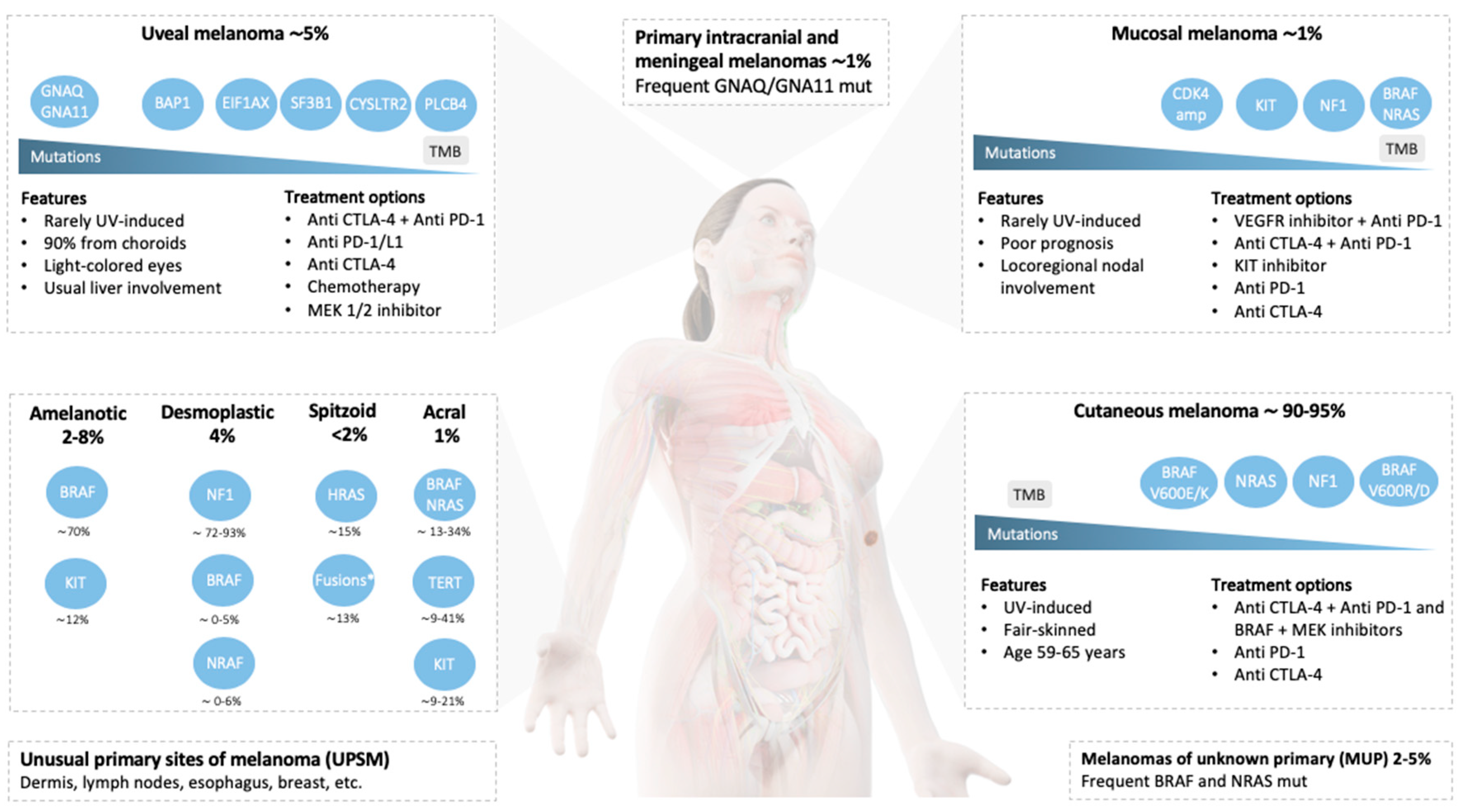 Cancers | Free Full-Text | Uncommon Subtypes of Malignant Melanomas: A  Review Based on Clinical and Molecular Perspectives