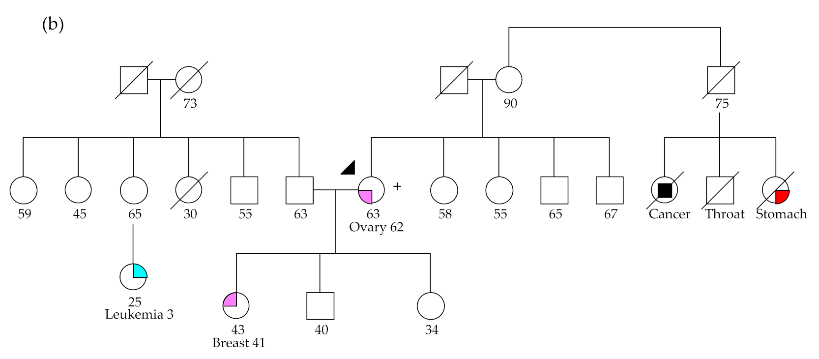 Cancers Free Full Text Gene Panel Tumor Testing In Ovarian Cancer Patients Significantly