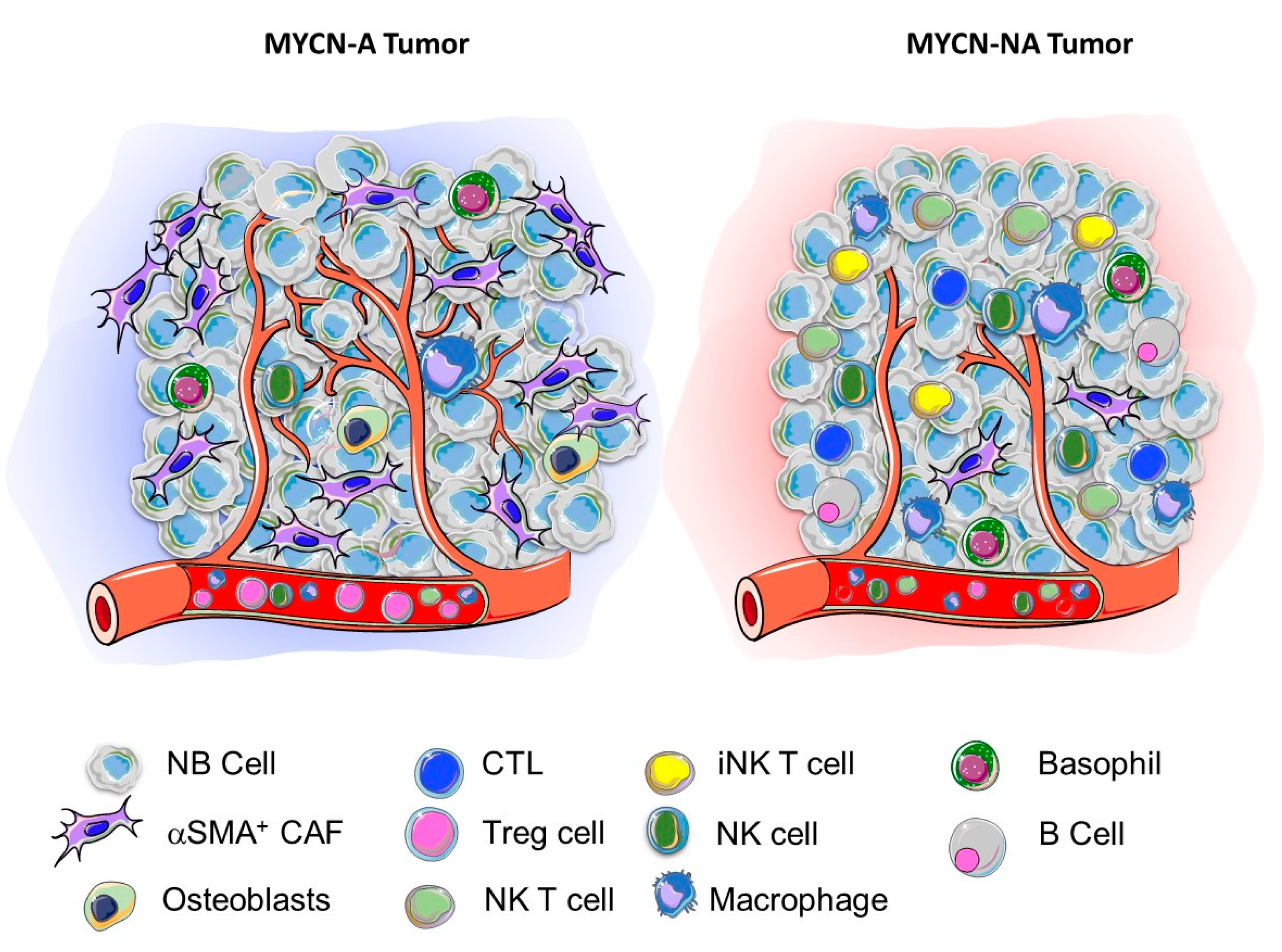 IL-3 is a novel target to interfere with tumor vasculature