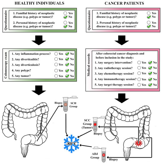 Role of miRNAs in Sigmoid Colon Cancer A Search for Potential  