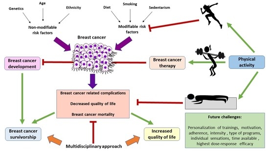 PDF) Breast Cancer Mortality vs. Exercise and Breast Size in Runners and  Walkers