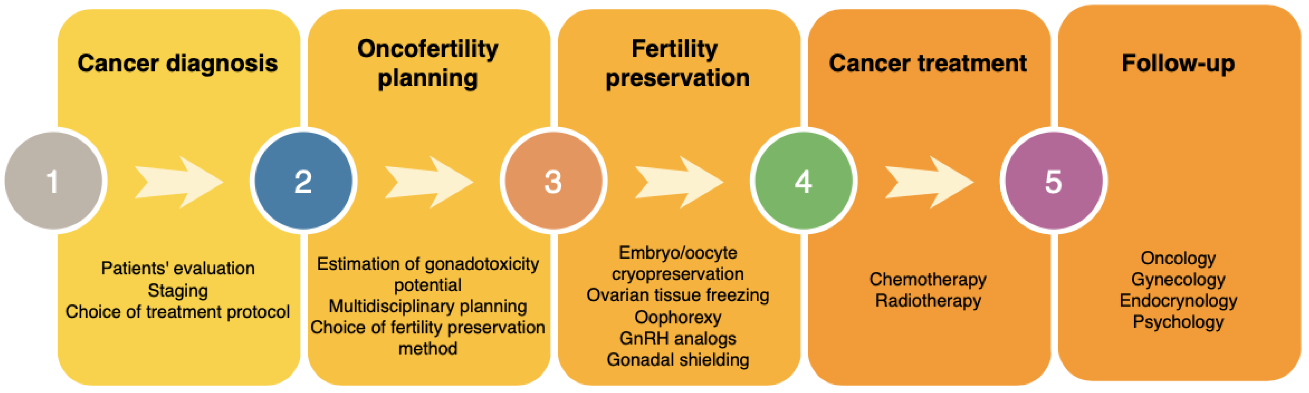 Cancers Free FullText Fertility Preservation and LongTerm