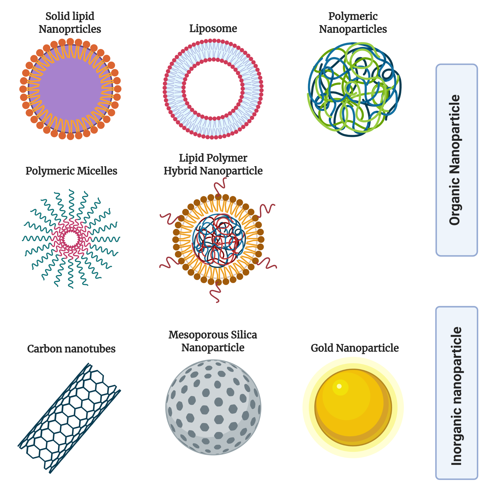 Cancers | Free Full-Text | Advances in Nanocarriers for Effective ...