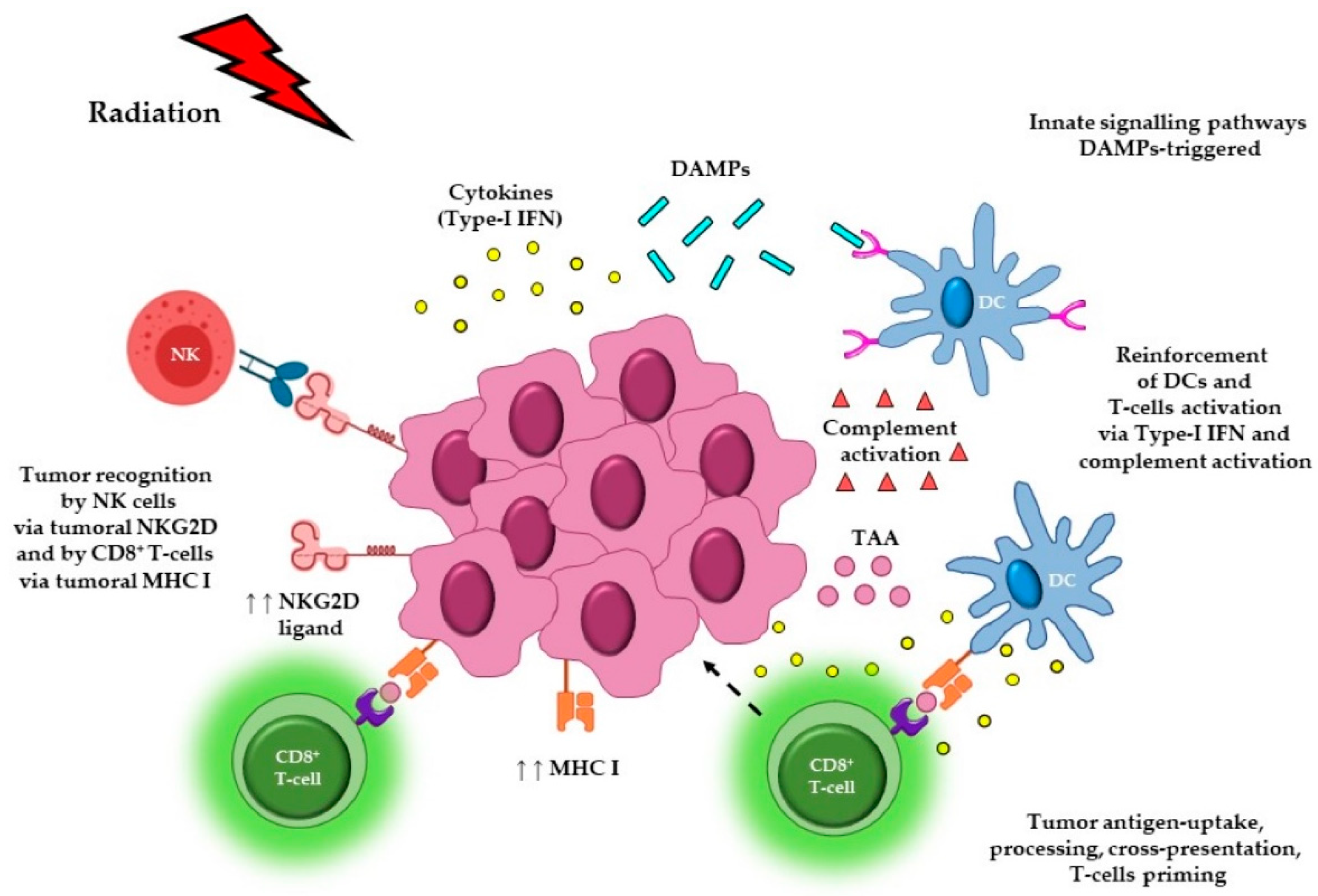 Cancers Free Full Text Radiotherapyimmunotherapy Combination How