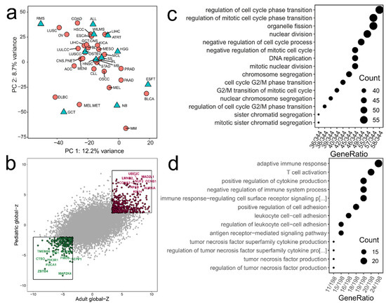 Cancers | Free Full-Text | Prognostic Gene Expression, Stemness And ...