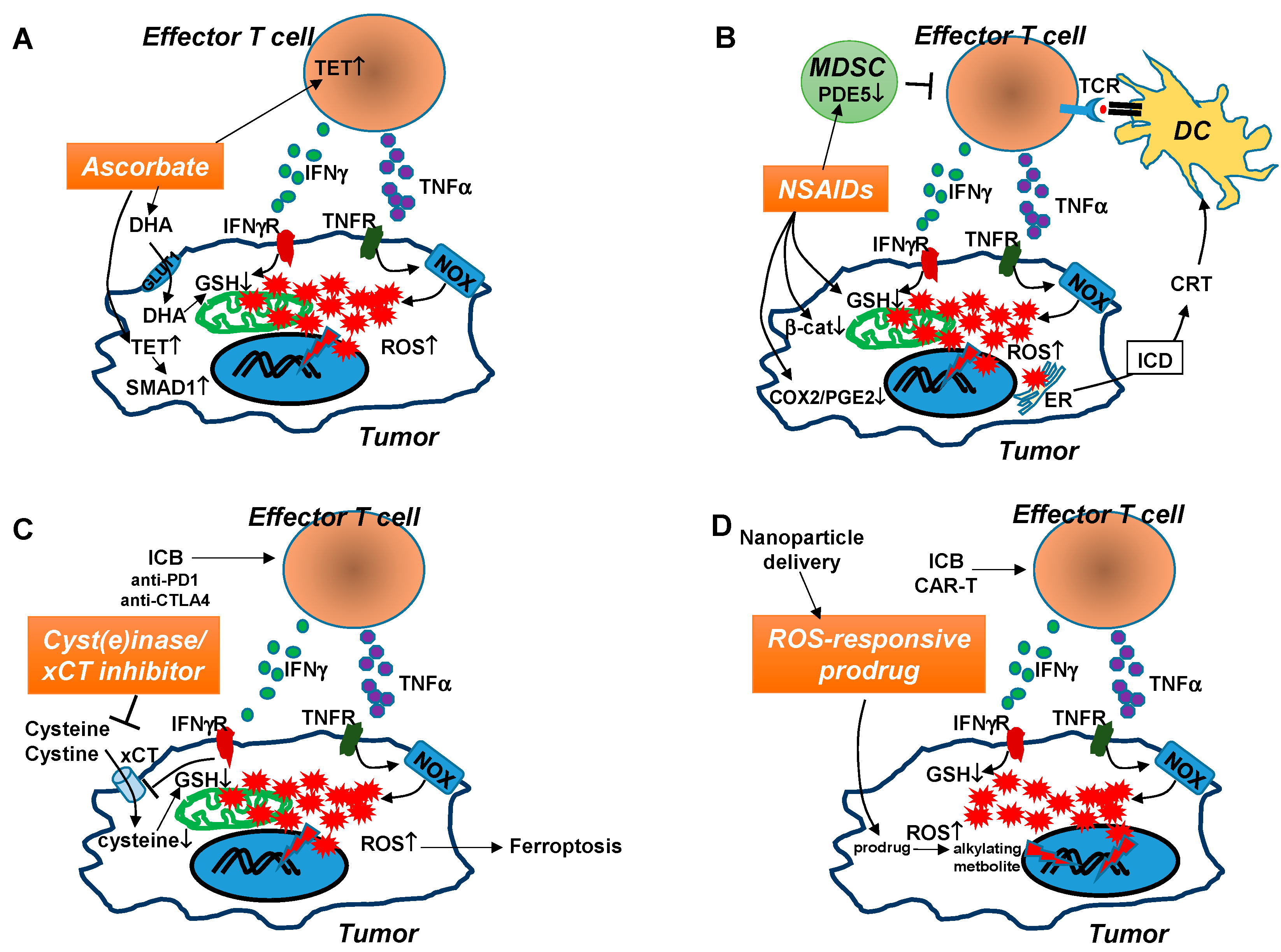 Cancers | Free Full-Text | Oxidative Stress in the Tumor 