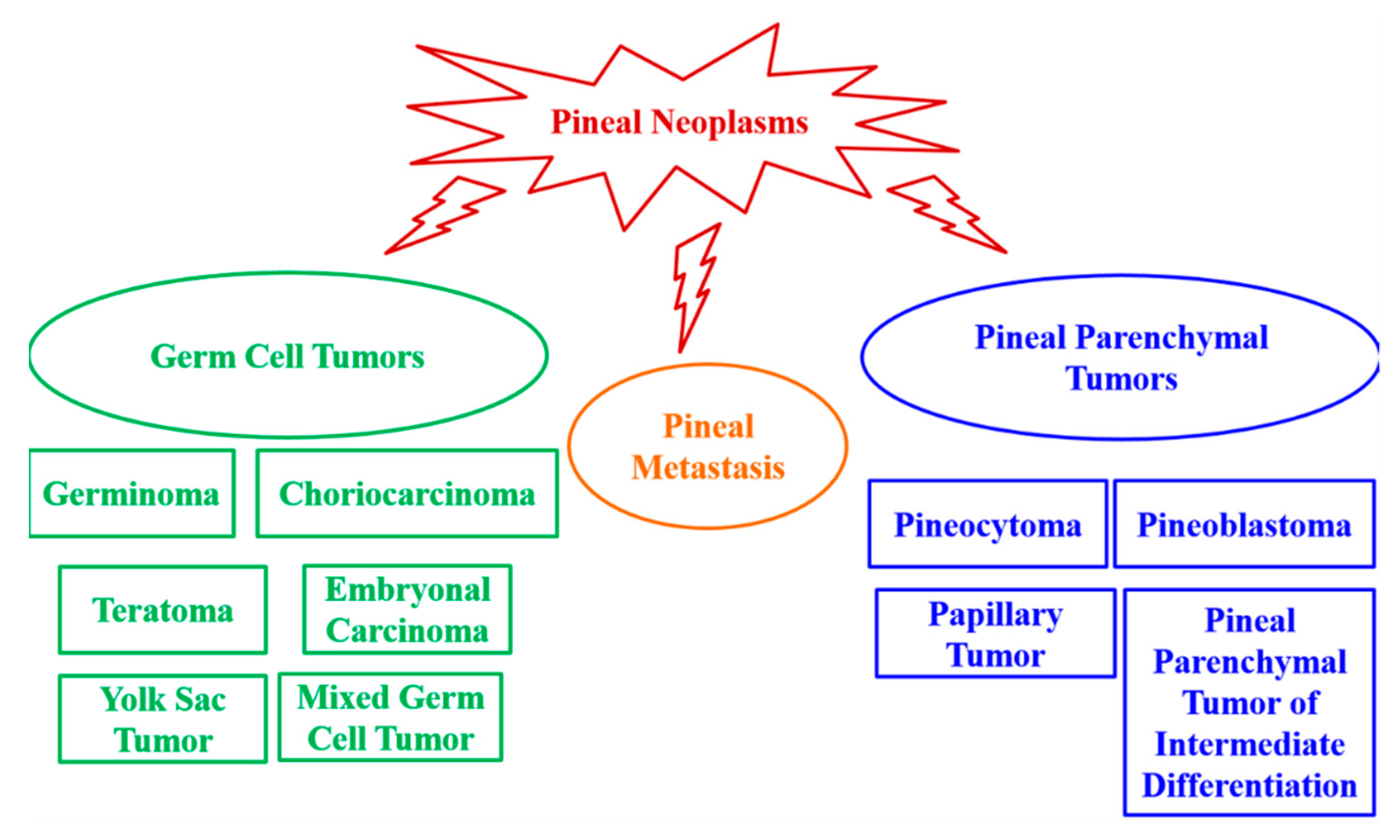 Outcomes and surgical approaches for pineal region tumors in children: 30  years' experience in: Journal of Neurosurgery: Pediatrics Volume 32 Issue 2  (2023) Journals