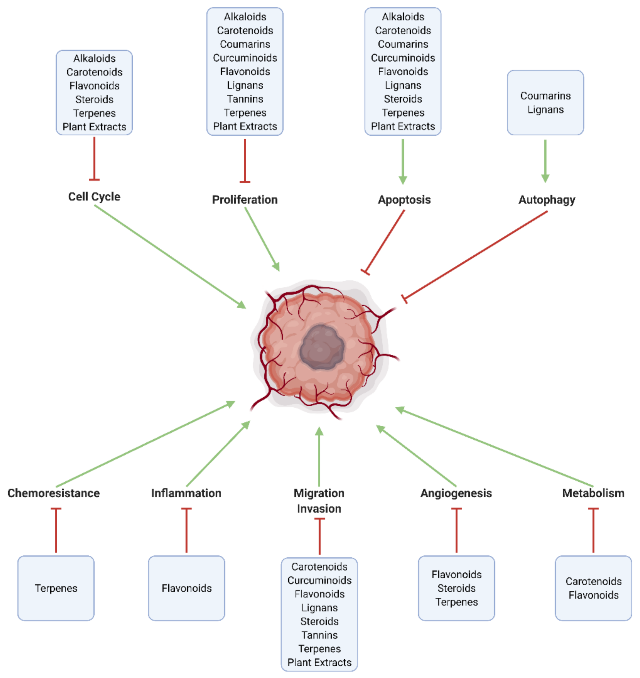 Cancers | Free Full-Text | Natural Compounds in Glioblastoma 