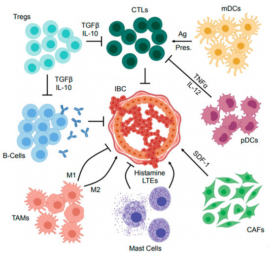 Cancers | Free Full-Text | Progress for Immunotherapy in Inflammatory ...