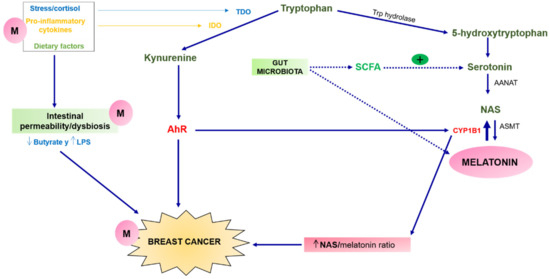 Pointer of Interest: Pointer highlights breast cancer foundation