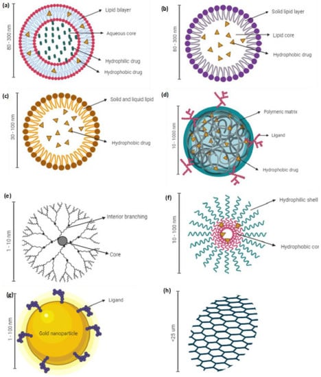 Cancers | Free Full-Text | Advanced Nanoparticle-Based Drug Delivery ...