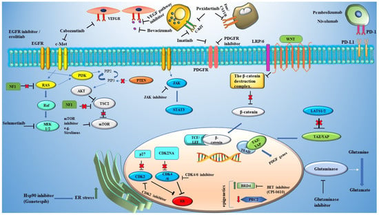 Cancers | Free Full-Text | Pharmacological Approaches in ...