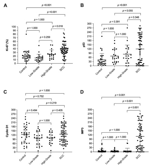 Cancers | Free Full-Text | IMP3 Protein Overexpression Is Linked to ...